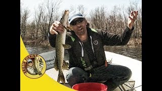 Pike Fishing - Small baits catch picky fish at Lake Dalrymple May 8 2018