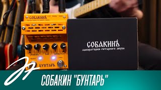 Собакин "Бунтарь" ламповый гитарный перегруз/преамп