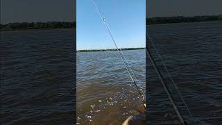 Fishing in the Mississippi River #fishing #perfectdate #mississippiriver