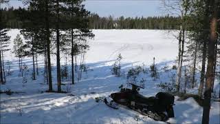 Toner från Svarttjärn