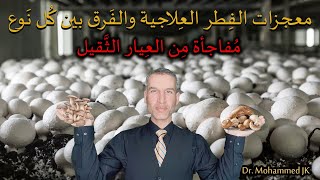 فوائد وعجائب الفطر ( المشروم ) واستخداماته الطبية والعلاجية ( ما لا يقوله الأطباء )