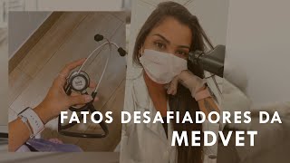 5 FATOS RUINS DA MEDICINA VETERINÁRIA 👩🏽‍⚕️