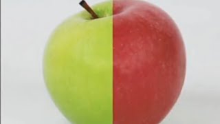 Transparent Red Apple Manipulation | Photoshop Tutorial