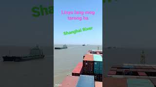 Line of Ships Inbound Shanghai #containership #memories #river #ships #pinoyseaman