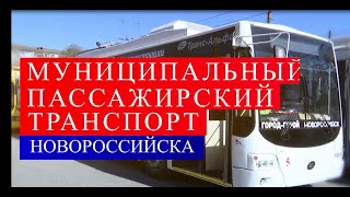 МУП "Муниципальный пассажирский транспорт Новороссийска" предлагает услуги.