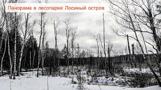 Панорамное видео в национальном парке Лосиный остров