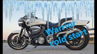 Yamaha Warrior freezing cold start - immersive