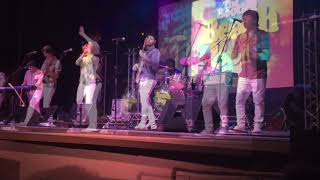 The Bootleg Beach Boys Live at Dee Why RSL, Sydney, Australia