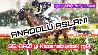 ANADOLU ASLANI'nın Tüm Koşuları - (95. GAZİ Favorisi 3/4)