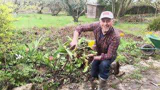 Lifting and Dividing Perennials Joes Country Garden April 2024