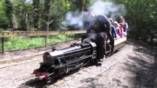 Black Five at Frimley Lodge Public Running Day