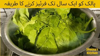 Spinach (Palak) ko Freeze krne ka Asaan Tareeka پالک کو ایک سال تک فرئیز کرنے/  کا طریقہ