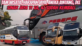 Momen Bus Harapan Jaya Lewat Klampok‼️ Sinar Jaya 4J Kembali, 11 XA Jalan Lampung