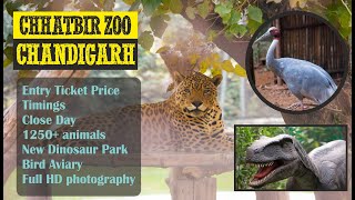 Chhatbir Zoo Chandigarh | Places to visit near Chandigarh