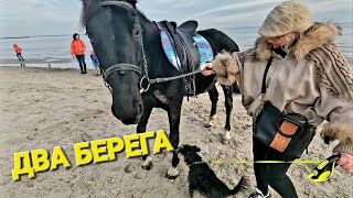 ОДЕССА ❤️ПОЗИТИВ ❗️ПЛЯЖ ЗОЛОТОЙ БЕРЕГ❗️ПРИВЕТ ИЗ АФРИКИ❗️ПРОГУЛКА ХОРОШЕЕ НАСТРОЕНИЕ ❗️