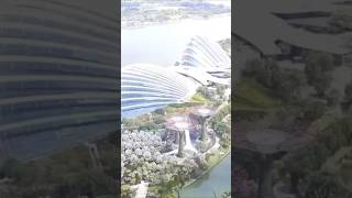 GARDENS BY THE BAY #singapore #travel #park #trip #shorts #garden #nationalpark #flowerdome