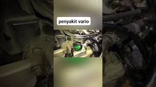 penyakit vario