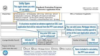 Cares & PPP 6 The PPP Loan Application Form.