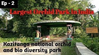 Largest Orchid Park in India|Kaziranga national orchid and bio diversity park|Ep. 2