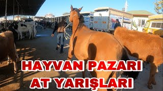 RENKLİ DANA DÜVE FİYATLARI | RAHVAN AT KAÇ PARA ?