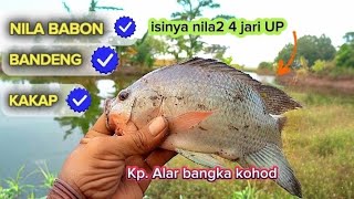 SPOT MANCING BANDENG KAKAP NILA MUJAER BABON TANGERANG || BARU BUKA SATU MINGGU