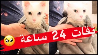 و أخيرا أشيل يستعد لاستقبال فنة بقا فيا مسكين🥺بقاتلي ليلة و نولد ان شاء الله❤️دعواتكم 🙏🏻