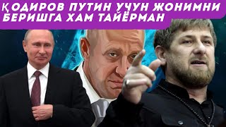 Қодиров Путин учун жонини беришга тайёр эканини айтди