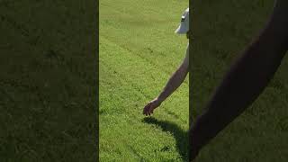 How We Test Lawn Mower Side Discharge Mode #shorts