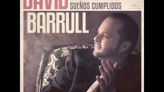 David Barrul ( como las alas al viento )