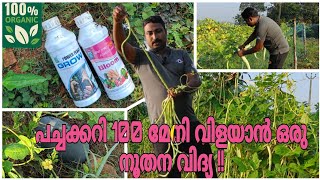 Payar krishi in malayalam | പച്ചക്കറി 100 മേനി വിളയാൻ ഒരു നൂതന വിദ്യ | @GreenLeafs.