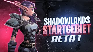 Shadowlands BETA • Das neue Startgebiet im Addon #1 | World of Warcraft