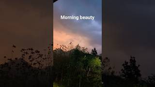 Double shaded sky#morning beauty of nature#sky#yt shorts#beauty#shorts