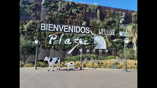 CHECKING OUT A NEW ADDITION TO PLAZA MAYOR - MÁLAGA