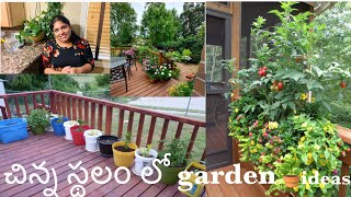 My Garden Tour || Telugu  Vlogs from USA