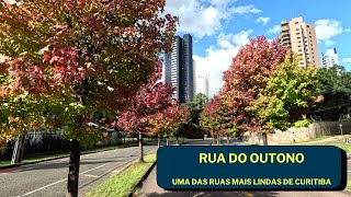 RUA DO OUTONO | CURITIBA PR