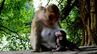 Tara feeding so careful to baby Tia