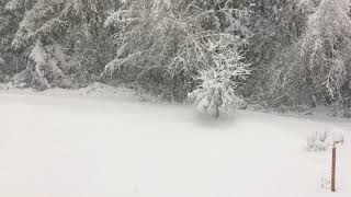 Falling Snow with Piano