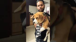 Funny Workout 😂 #shorts #trending #viral #dog #funny  #shortsfeed #comedy #animal #jamalkudu