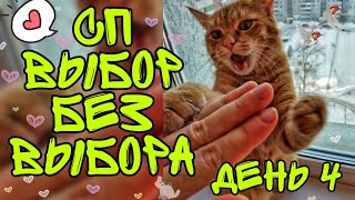 СП "ВЫБОР БЕЗ ВЫБОРА" || кошка отгрызла пальцы #сп_выбор_без_выбора || день 4 || питомцы