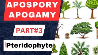 Pteridophyta part#3// Apospory & Apogamy types & Example