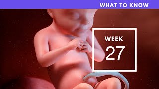 27 Weeks Pregnant | What To Know