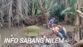 Info spot anyar sarang ikan nilem