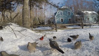 Winter Breakfast in Hopewell Junction, NY Feb. 12, 2021