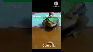 Real Life Pokemon go Venusaur vs caterpillar #trending / Super realistic