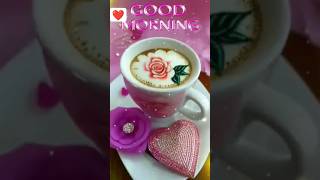 New whatsapp status 🥀🥀💕#newstatus#newwhatsappstatus #shorts#trend#anjumanid