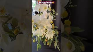 ✅Hermosas Orquídeas Phalaenopsis🤩#shorts#phalaenopsisorchids#white#flowers#fall#viralvideo