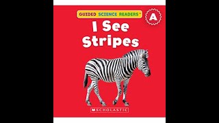 I See Stripes by Aaron Cohen read by Izaac