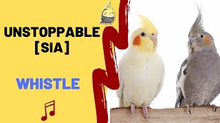 UNSTOPPABLE with WHISTLE [SIA]- Cockatiel Singing Training - Bird Whistle - Parrot Practice