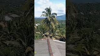 Morning view #kandy #dreamscape #srilanka #bookingcom #relaxing #viralvideo #mountainview