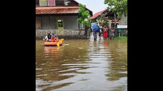 Pluies torrentielles en Guyane